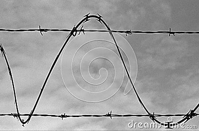 Barbed Wire Sine Wave Stock Photo