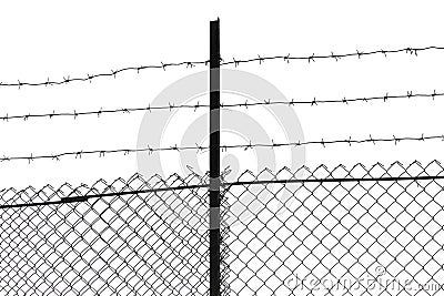 Barbed wire on a white background Stock Photo