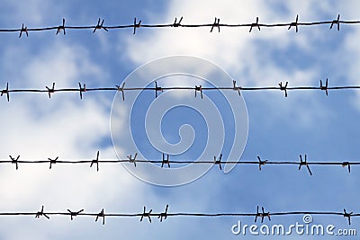 Barbed wires Stock Photo