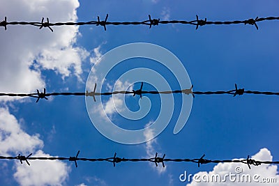 Barbed wires against blue sky Stock Photo