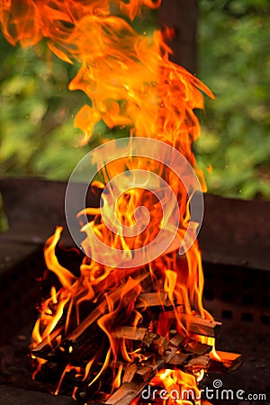 Barbeque fire on dark background Stock Photo