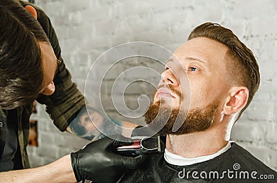 Barber hand in gloves cut hair and shaves adult gihger bearded man on a brick wall background. Close up portrait of a guy Stock Photo