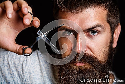 Barber scissors, barber shop. Brutal male, hipster with moustache. Male in barbershop, haircut, shaving. Portrait of Stock Photo