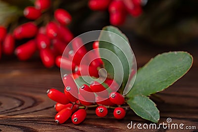 Barberry Berberis vulgaris branch fresh ripe berries wooden background Stock Photo