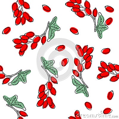Barberry plant with red berries seamless pattern. Vector illustation. Vector Illustration