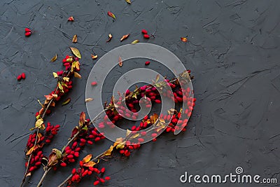 Barberry twigs with little red mature berries on grey stone textured backdrop. Copy space. Spice for meal. Concept Stock Photo