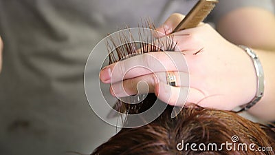 Barbers Cutting Womans hår arkivfilmer Barbers Cutting Womans hår arkivfilmer