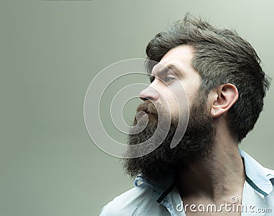 Barbershop or hairdresser concept. Macho on strict face, wears unbuttoned shirt. Man with beard, mustache and stylish Stock Photo
