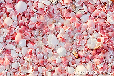 Barbuda pink sand beach Stock Photo