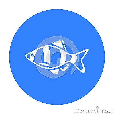 Barbus fish icon black. Singe aquarium fish icon from the sea,ocean life black. Vector Illustration