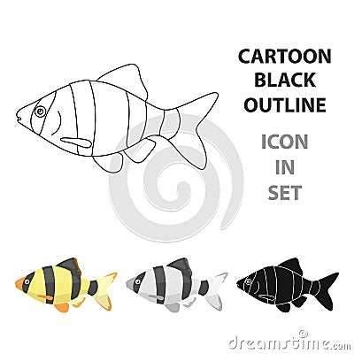 Barbus fish icon cartoon. Singe aquarium fish icon from the sea,ocean life cartoon. Vector Illustration