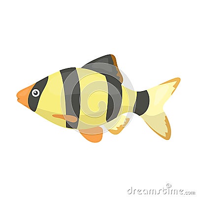 Barbus fish icon cartoon. Singe aquarium fish icon from the sea,ocean life set. Vector Illustration