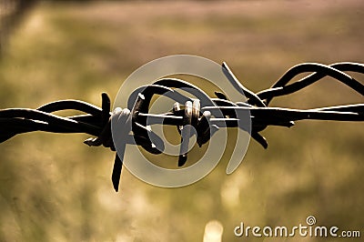 Barbwire Fence Stock Photo