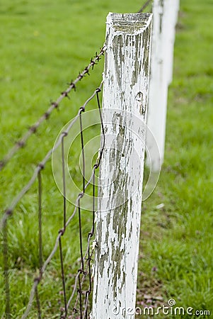 Barbwire fence Stock Photo