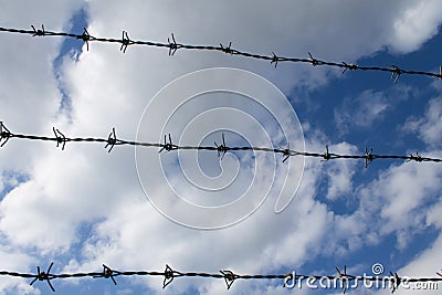 Barbwire fence Stock Photo