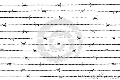 Barbwire Isolated On White Stock Photo