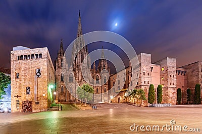 Barcelona Cathedral in the moonlit night, Spain Stock Photo