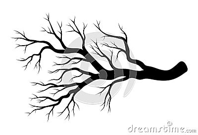 Bare branch winter design isolated on white background Vector Illustration