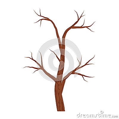 Bare brown tree without leaves isolated on white background. Autumn or winter tree. Vector Illustration