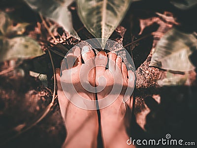 Bare feet barefoot on ground with green leaves. grounding and earthing technique Stock Photo