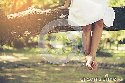 Bare foot female legs sitting on the tree in the park Stock Photo