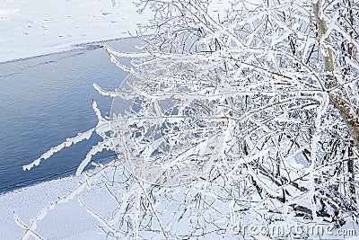 Bare thin branches of trees, bush with white fluffy snow on the bank against the background of a blue river Stock Photo