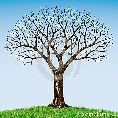 Bare tree Vector Illustration