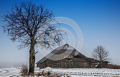 Bare tree and barn Stock Photo