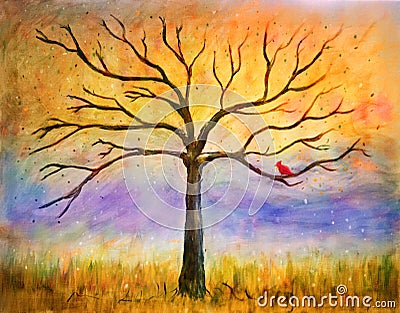 Bare tree in golden light with cardinal Stock Photo