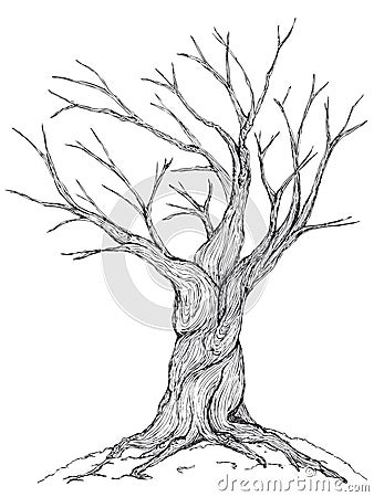 Bare tree illustration Stock Photo