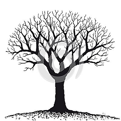 Bare tree (vector) Vector Illustration