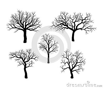 Bare tree winter set design isolated on white background Vector Illustration