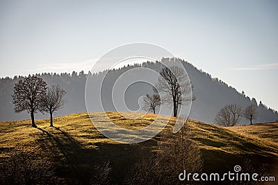 Bare trees and meadow in Autumn on Lessinia Plateau Veneto Italy Stock Photo