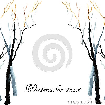 Bare winter branches of the trees. Stock Photo