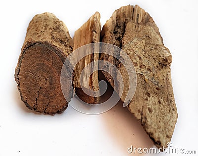 Bark of Candy Corn plant (Moullava spicata) Stock Photo