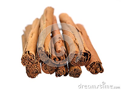 Bark from Cinnamomum verum or true cinnamon or Ceylon cinnamon. Isolated on white background Stock Photo