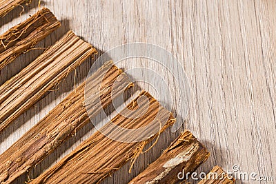 bark of medicinal plant cat's claw, uncaria tomentosa Stock Photo