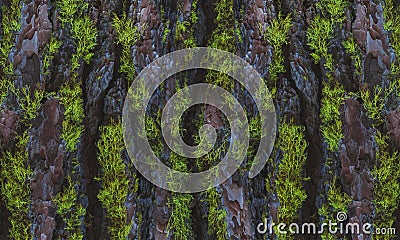 Bark moss macro closeup tree trunk Stock Photo