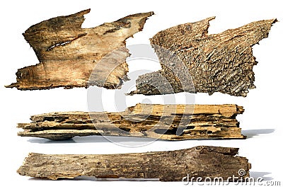 Bark and piece tree trunk Stock Photo