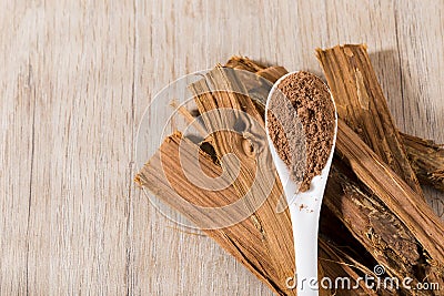 bark and powder of medicinal plant cat's claw, uncaria tomentosa Stock Photo