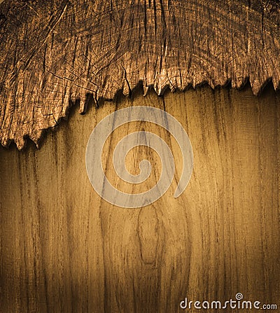 Bark wood use for natural textured and background Stock Photo