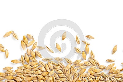 Barley grain Stock Photo