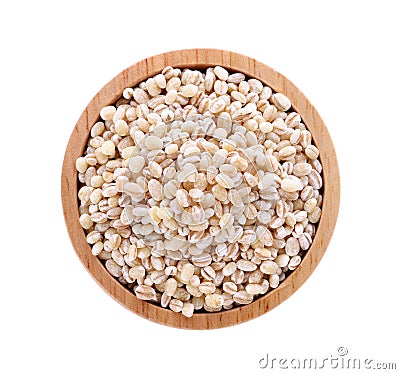 Barley grain seed Stock Photo