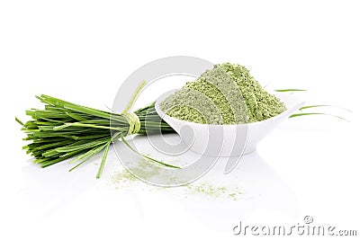 Barley Grass. Stock Photo