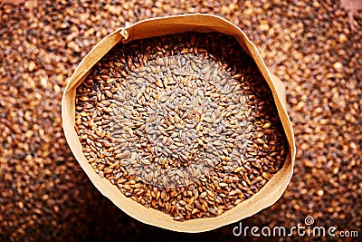 Barley malt in a leather bag. Stock Photo