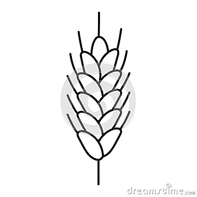 Barley, rye grain ear, line icon. Linear sketch of barley, rye ear. Outline spica plant for agriculture, cereal products Vector Illustration