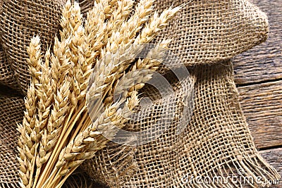 Barley Stalks and Old Burlap Fabric Stock Photo