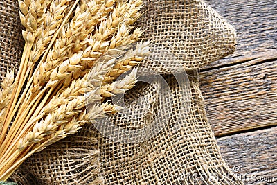 Barley Stalks and Old Burlap Fabric Stock Photo