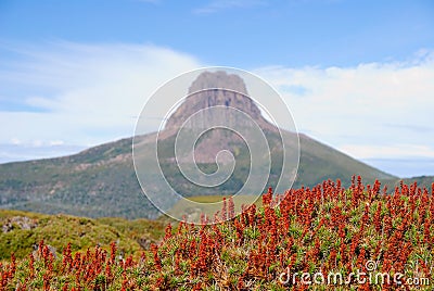 Barn Bluff with heath in front Stock Photo