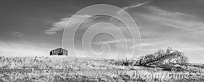 Barn on a Hill with Downed Tree B&W Stock Photo